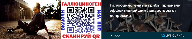 Галлюциногенные грибы Psilocybine cubensis  Видное 